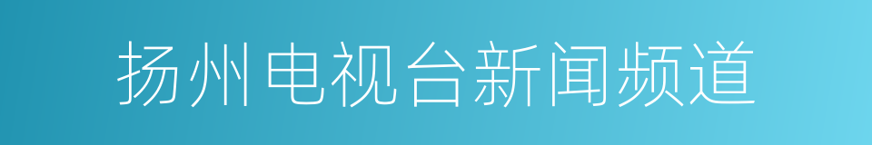 扬州电视台新闻频道的同义词