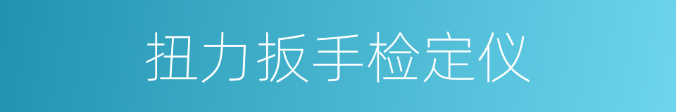 扭力扳手检定仪的同义词