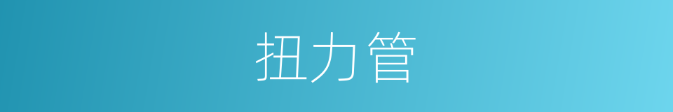 扭力管的同义词