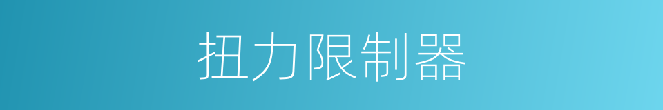 扭力限制器的同义词