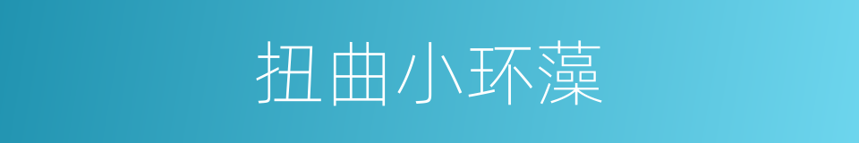 扭曲小环藻的同义词
