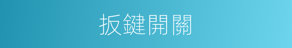 扳鍵開關的同義詞