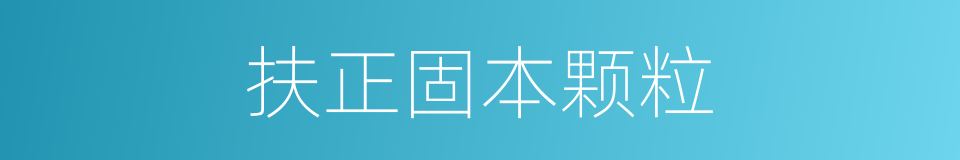 扶正固本颗粒的同义词