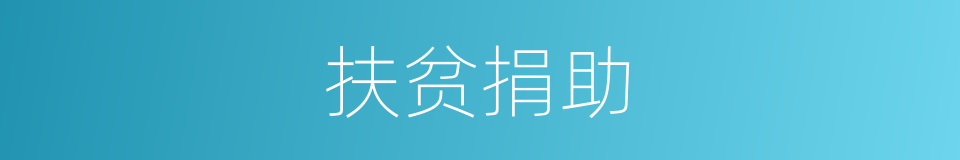 扶贫捐助的同义词