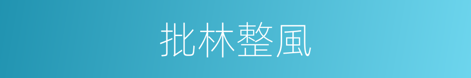 批林整風的同義詞