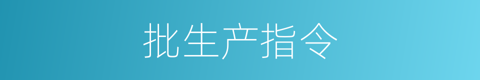 批生产指令的同义词