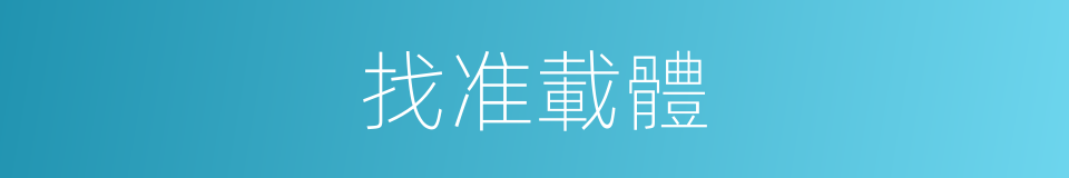 找准載體的同義詞