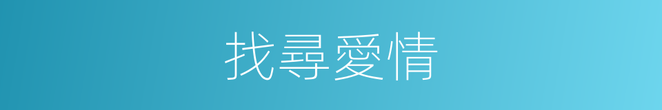 找尋愛情的同義詞