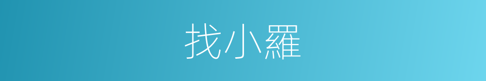 找小羅的同義詞