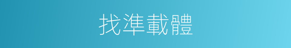 找準載體的同義詞