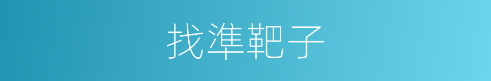 找準靶子的同義詞