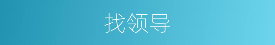 找领导的同义词