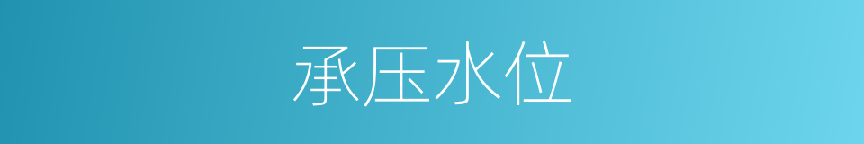 承压水位的同义词