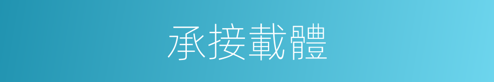 承接載體的同義詞