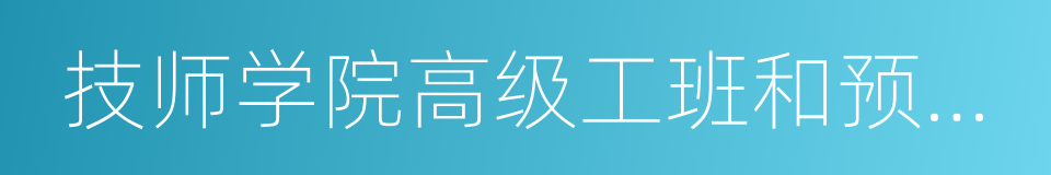 技师学院高级工班和预备技师班的同义词