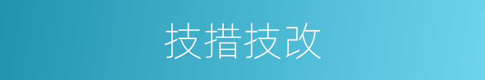 技措技改的同义词