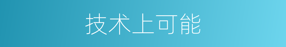 技术上可能的同义词