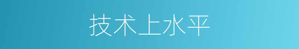 技术上水平的同义词