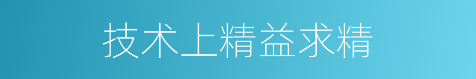 技术上精益求精的同义词