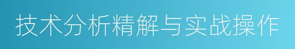 技术分析精解与实战操作的同义词