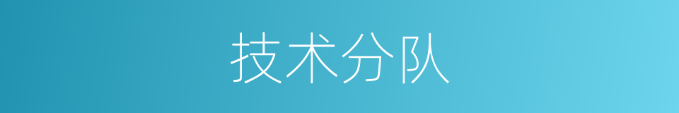 技术分队的同义词