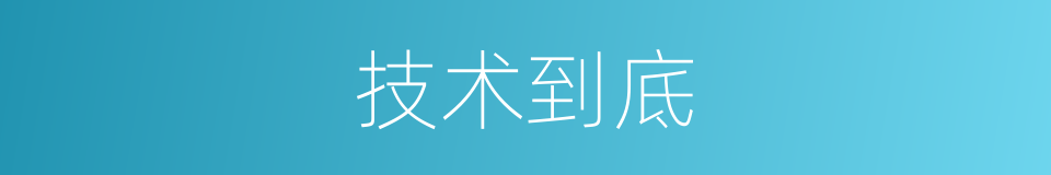 技术到底的意思