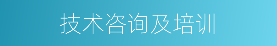 技术咨询及培训的同义词