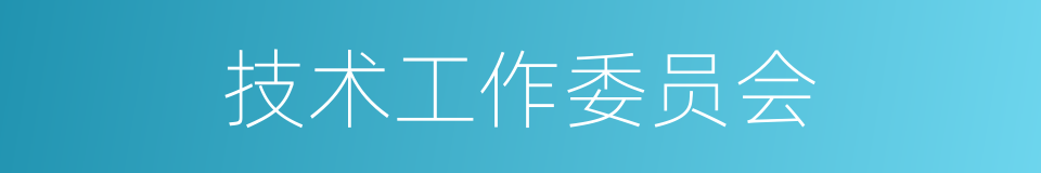 技术工作委员会的同义词