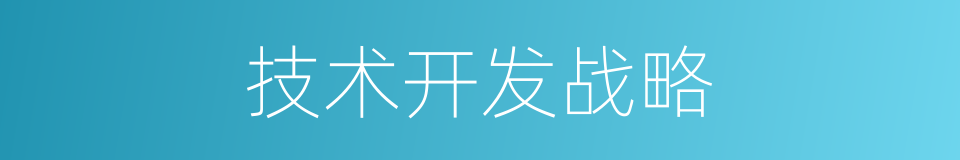 技术开发战略的同义词