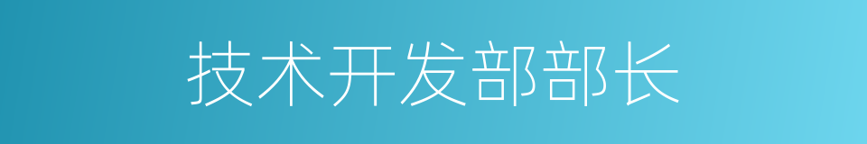 技术开发部部长的同义词