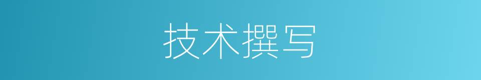 技术撰写的同义词