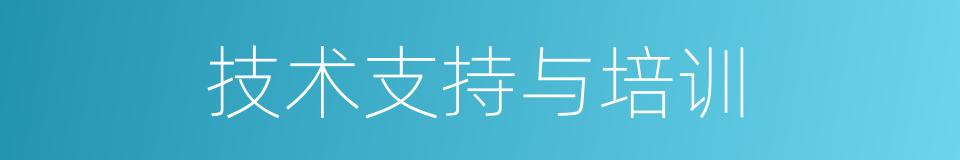 技术支持与培训的同义词