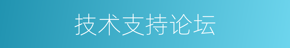 技术支持论坛的同义词