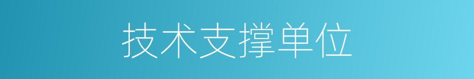 技术支撑单位的同义词