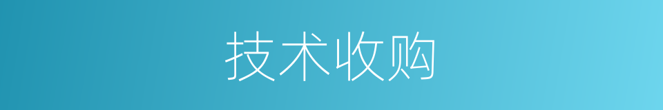 技术收购的同义词