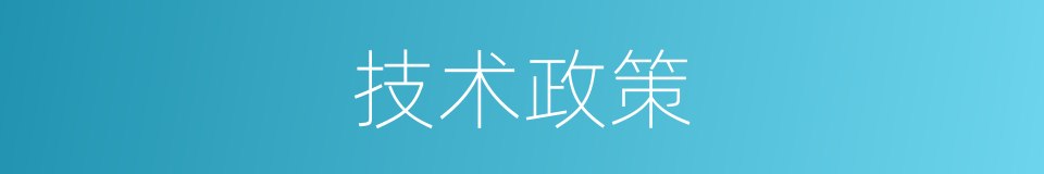 技术政策的同义词