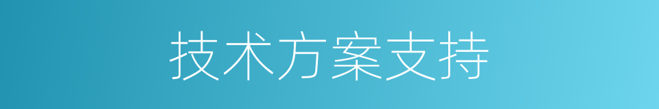 技术方案支持的同义词