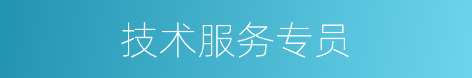 技术服务专员的同义词