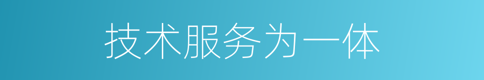 技术服务为一体的同义词