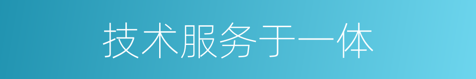 技术服务于一体的同义词