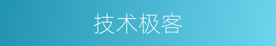 技术极客的同义词