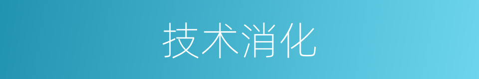 技术消化的同义词