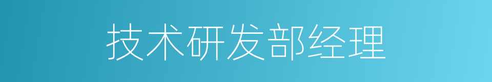 技术研发部经理的同义词