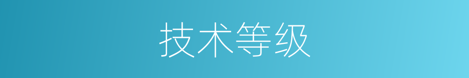 技术等级的同义词