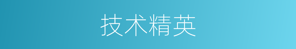技术精英的同义词