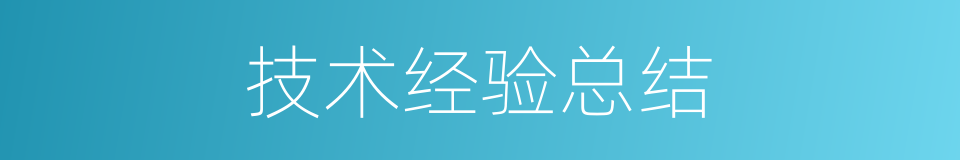 技术经验总结的同义词