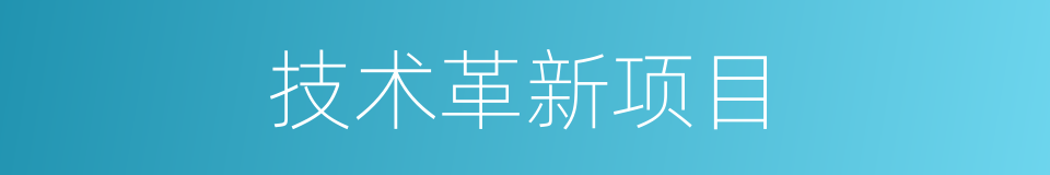 技术革新项目的同义词