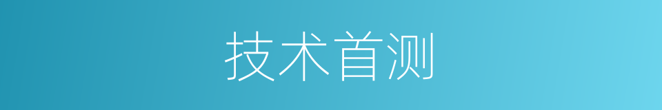 技术首测的同义词