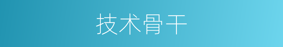 技术骨干的意思