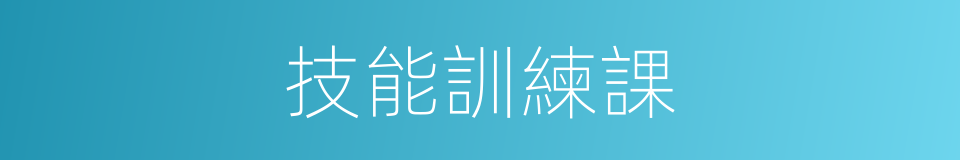 技能訓練課的同義詞